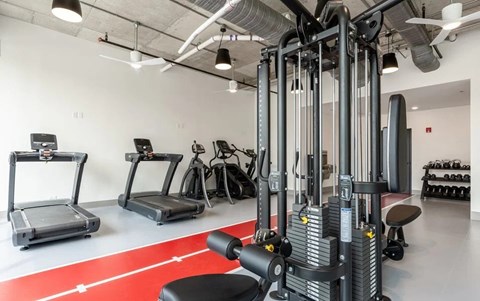 A gym with a red carpet and various exercise machines.