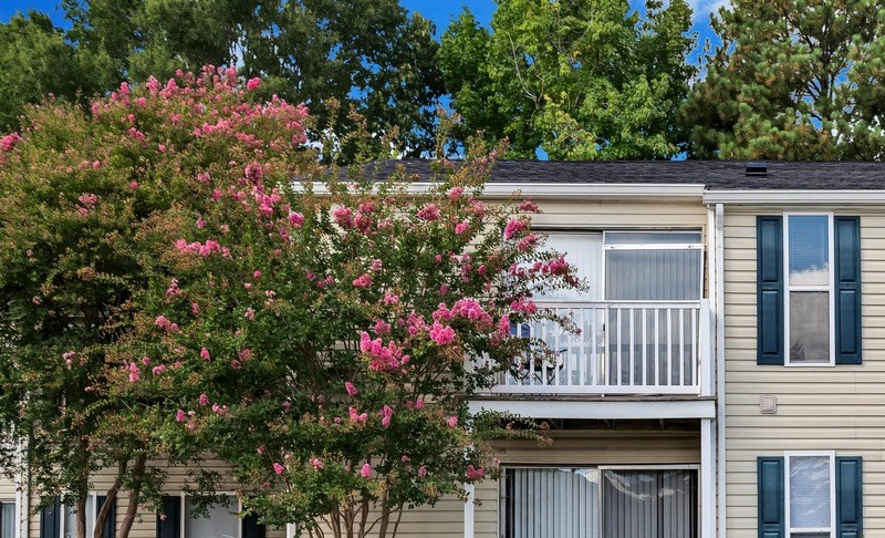 our apartments offer a spacious living area with a lawn