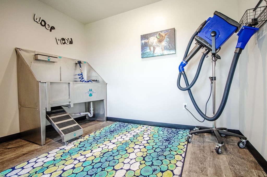 a bathroom with a shower and a sink and a dryer