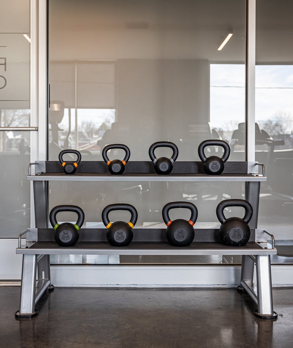 a set of dumbbells on a shelf in a gym