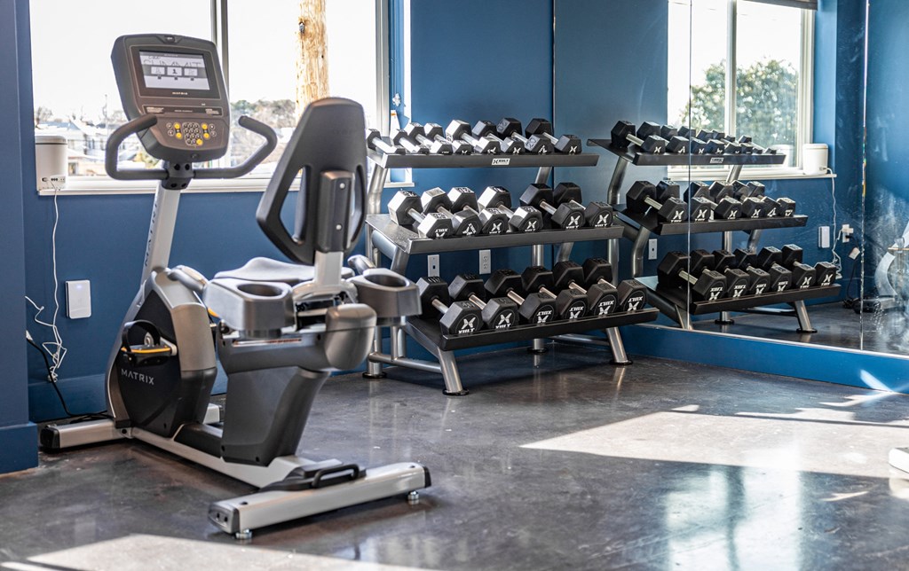 a row of dumbbells in a gym on the floor