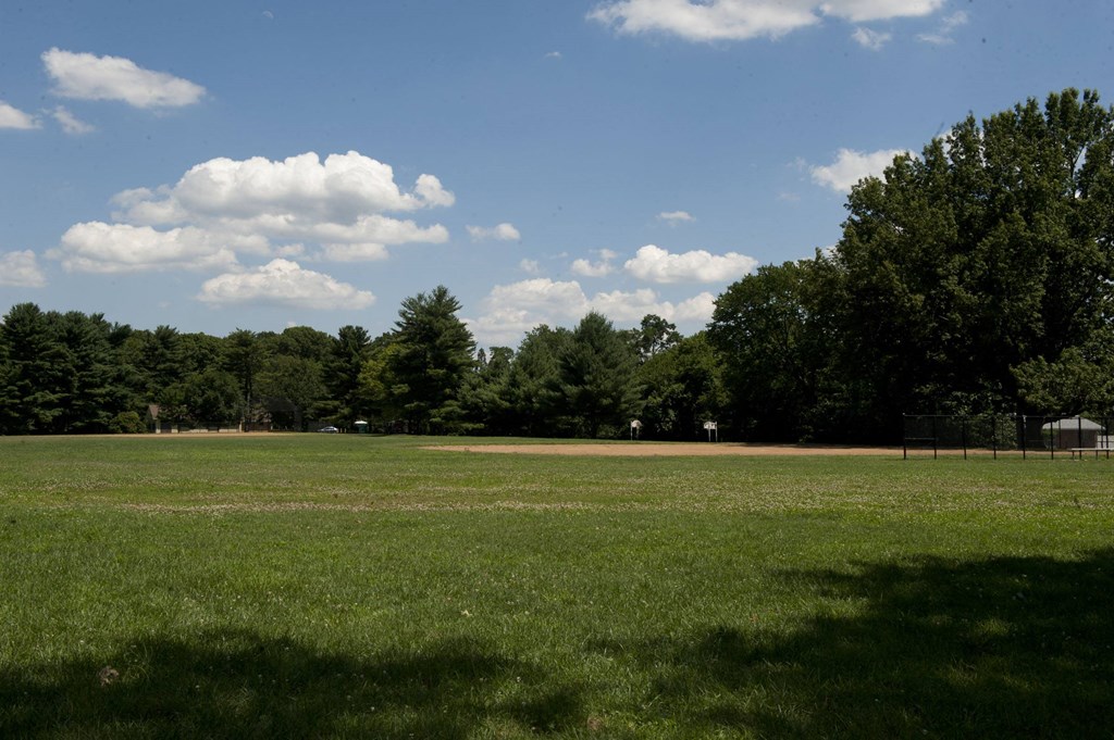 a large field of grass with trees in the background