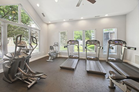 the gym has plenty of cardio equipment and large windows