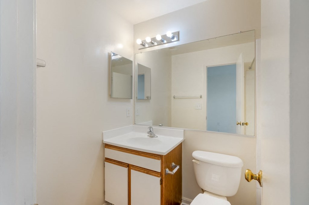a bathroom with a toilet and a sink and a mirror