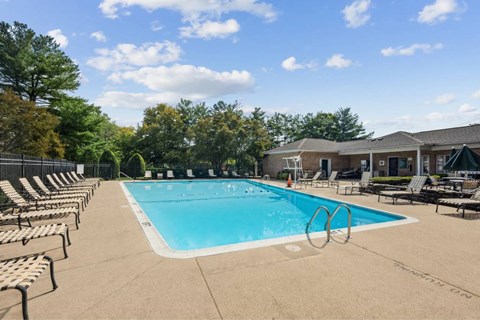 A large outdoor swimming pool surrounded by lounge chairs and trees.