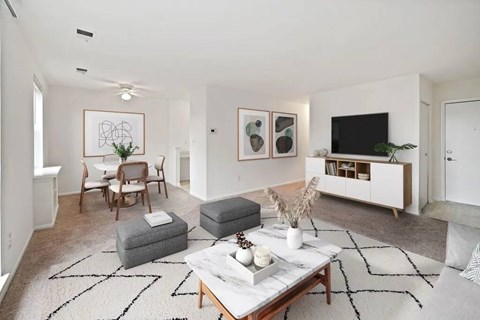 A living room with a grey rug and a white sofa.