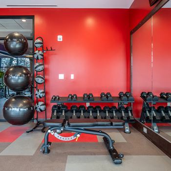 Fitness center at Aura at Innovation Square apartments with weights and a red wall