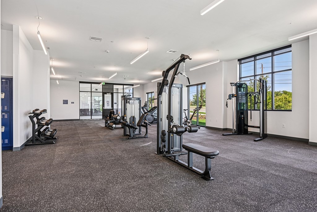A gym with a variety of equipment including treadmills, weights, and a bench.