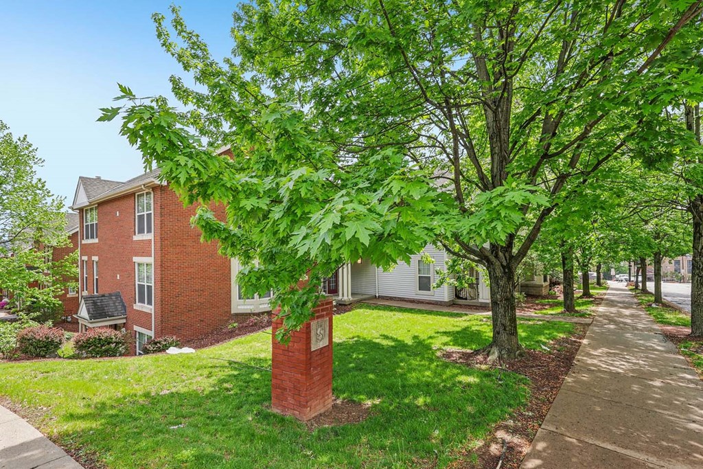 A tree in front of a brick house.