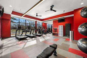 A gym with treadmills, weights, and a bench.