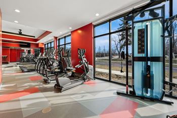 A gym with treadmills and elliptical machines.