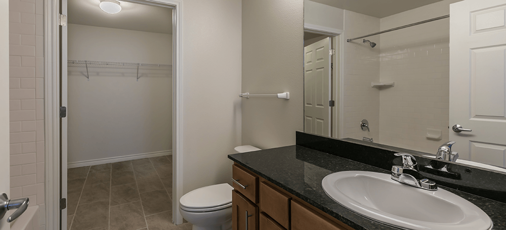 a bathroom with a sink and a toilet and a shower