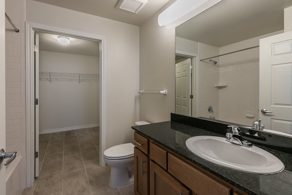 a bathroom with a sink and a toilet and a mirror