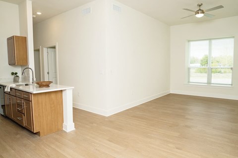 A room with a wooden floor and a window showing trees outside.