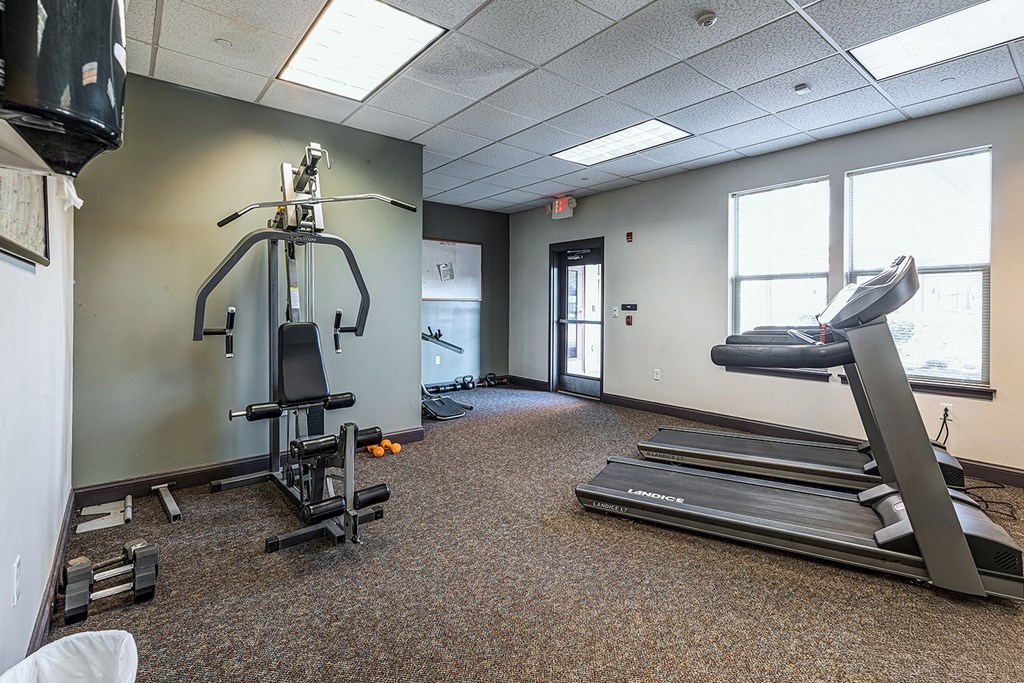 A gym with a treadmill, a weight bench and a squat rack.