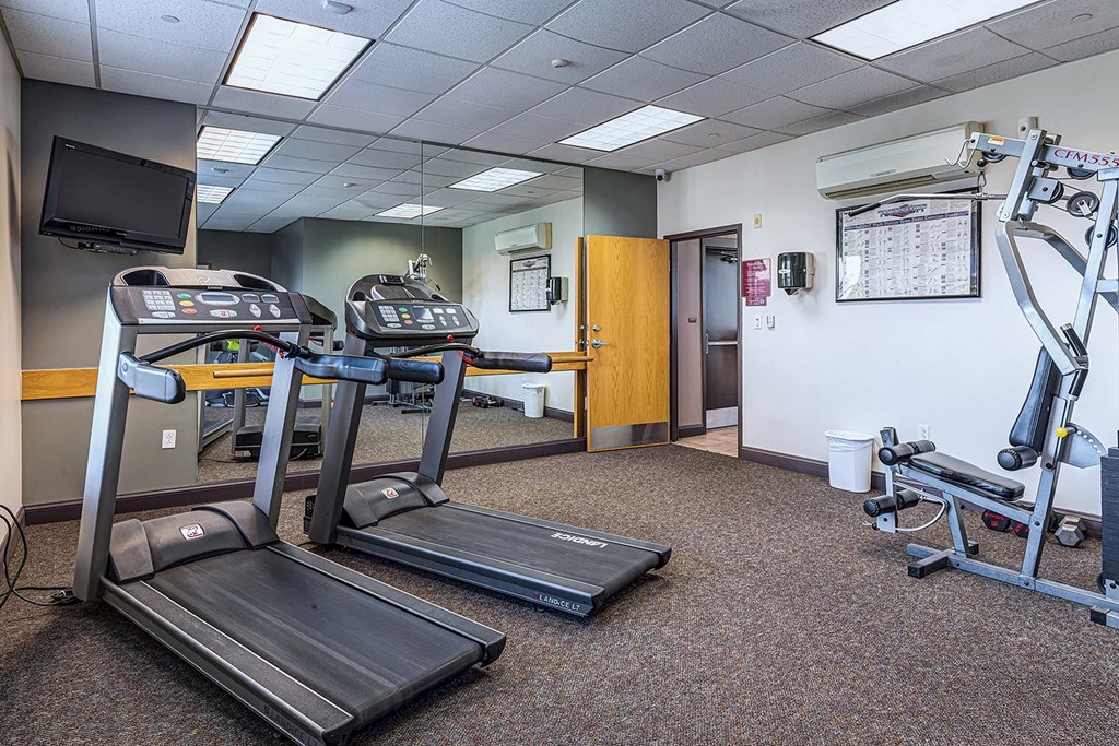 A gym with treadmills, exercise bike and weight machine.