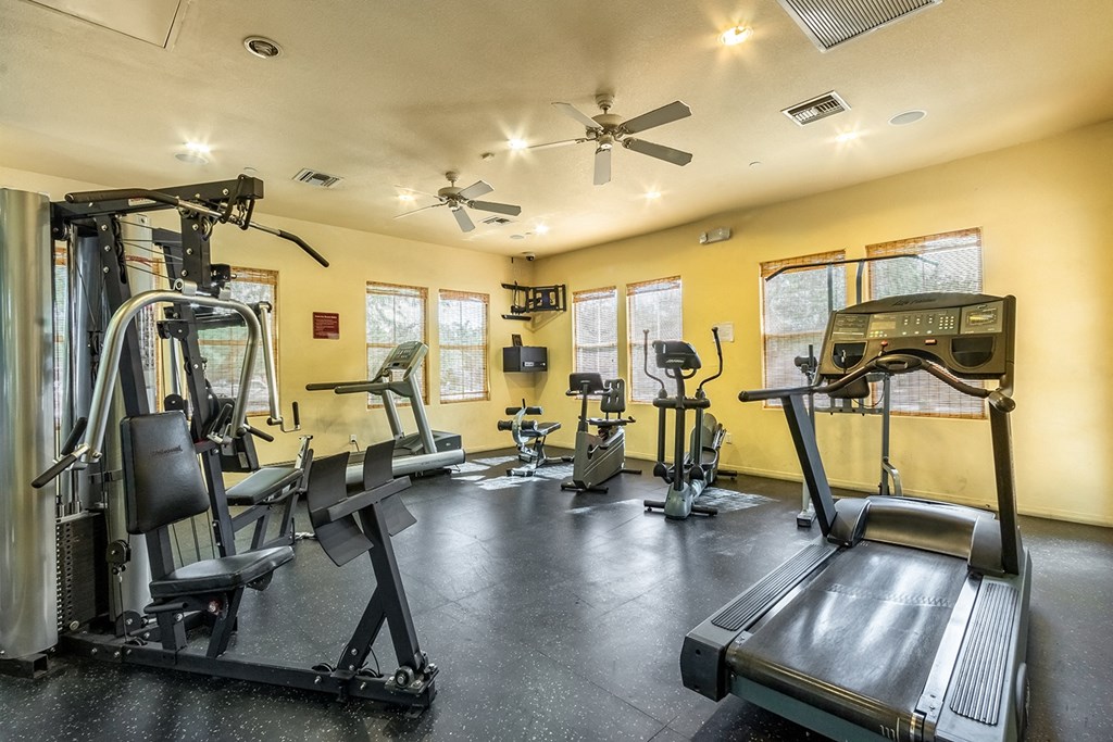 A spacious gym with a variety of equipment including treadmills, weight machines, and a television.