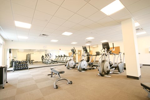 A gym with a variety of exercise equipment.