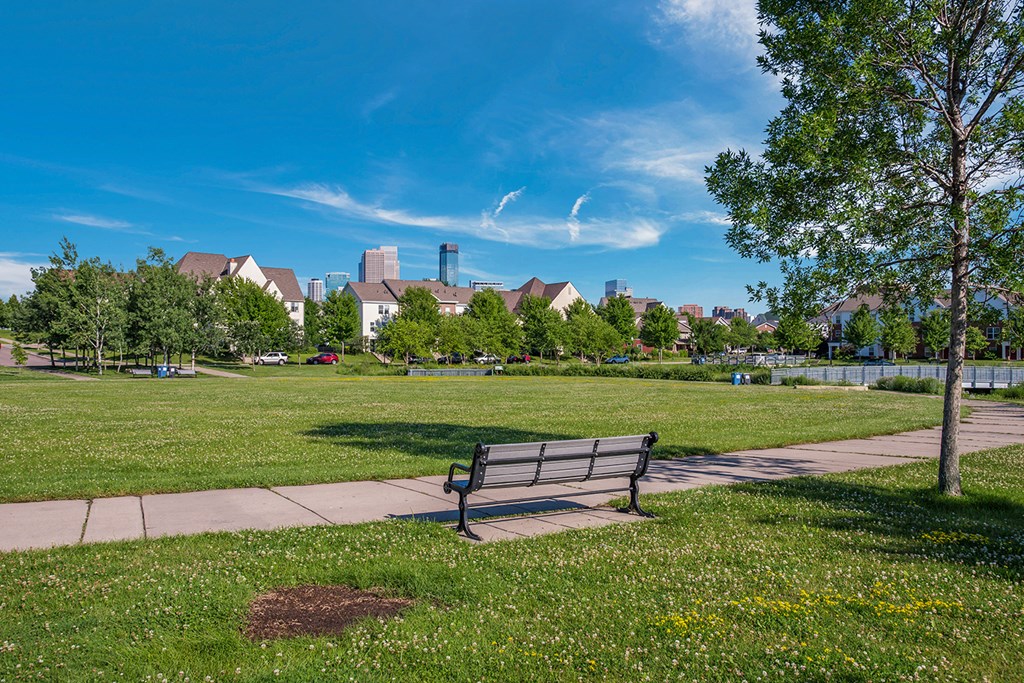 a park bench in a park with a city in the background
