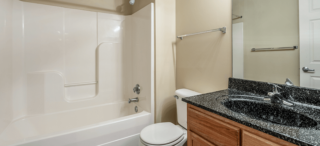 a bathroom with a sink and a toilet and a shower