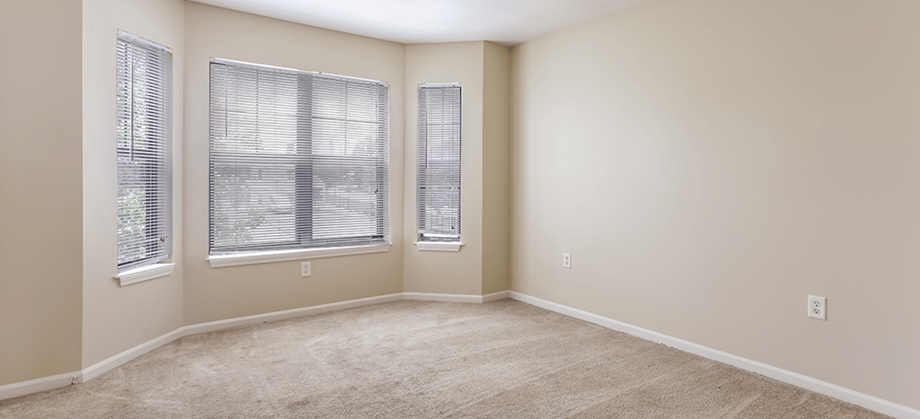 an empty living room with three windows and a carpeted floor