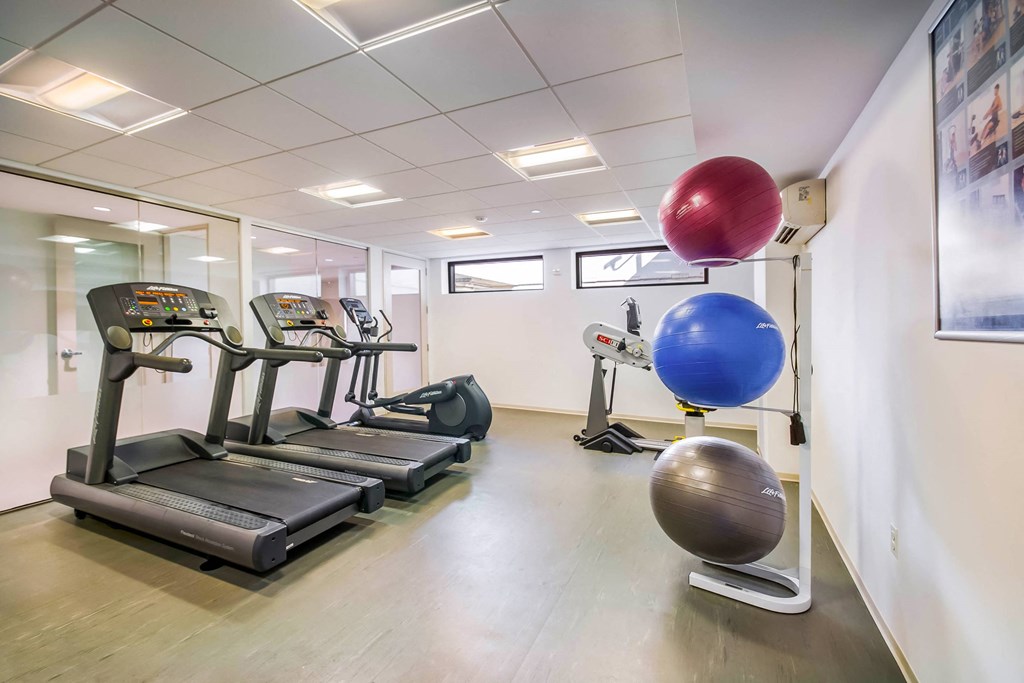 A gym with treadmills, exercise balls, and a mirror.