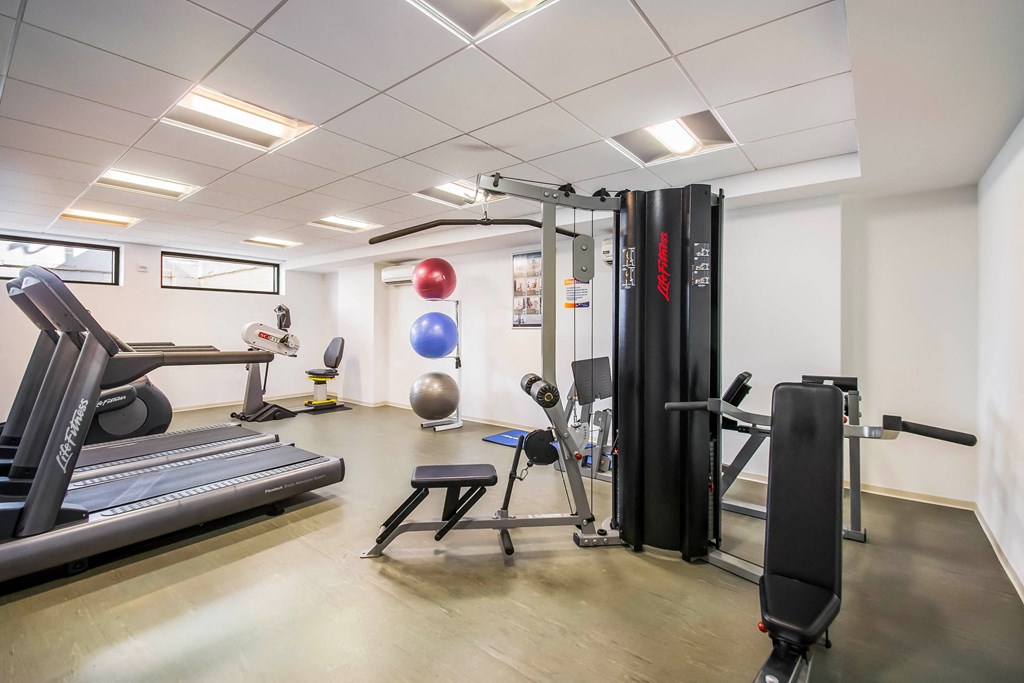 A gym with a treadmill, weights, and exercise balls.