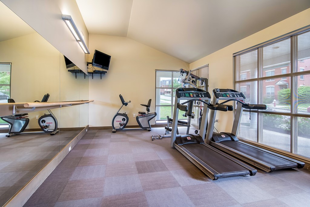A gym with treadmills, elliptical machines, and a rowing machine.