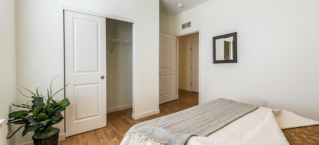 a bedroom with a closet and a bed and a potted plant