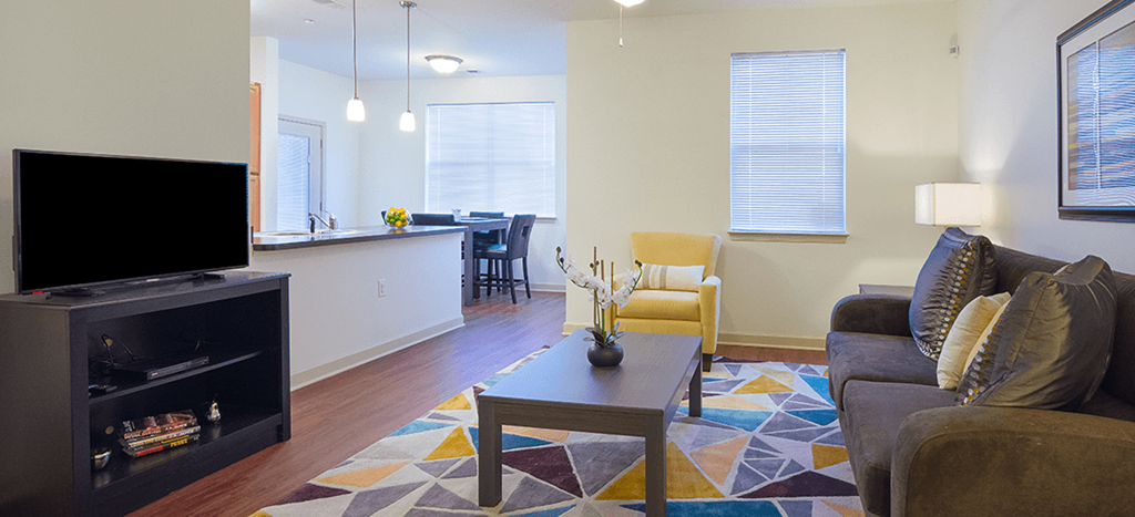 a living room with a couch and a television
