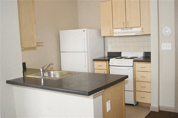 a kitchen with a sink and a stove and a refrigerator
