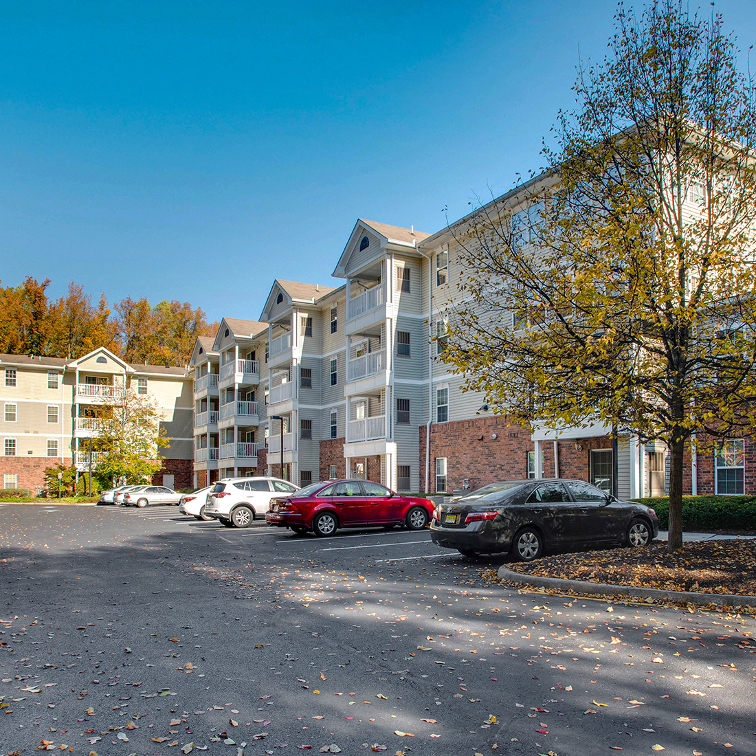 Brookshire Senior Apartments, 100 Forest Ridge Drive, Lawrenceville, NJ