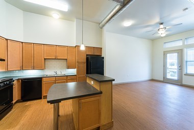 Interior apartment-North Sarah Apartments, St. Louis, MO