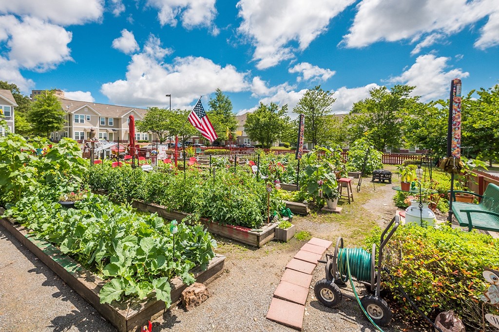 a community garden with many plots of plants and a flag Cumberland Manor and Metropolitan Village Apartments and Townhomes in Little Rock, AR.