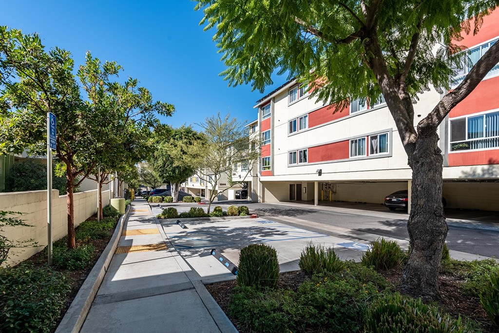 A tree in front of a building with a clear blue sky.