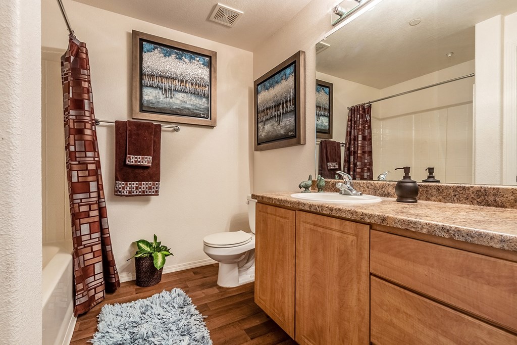 A bathroom with a toilet, a sink, a mirror, and a plant.