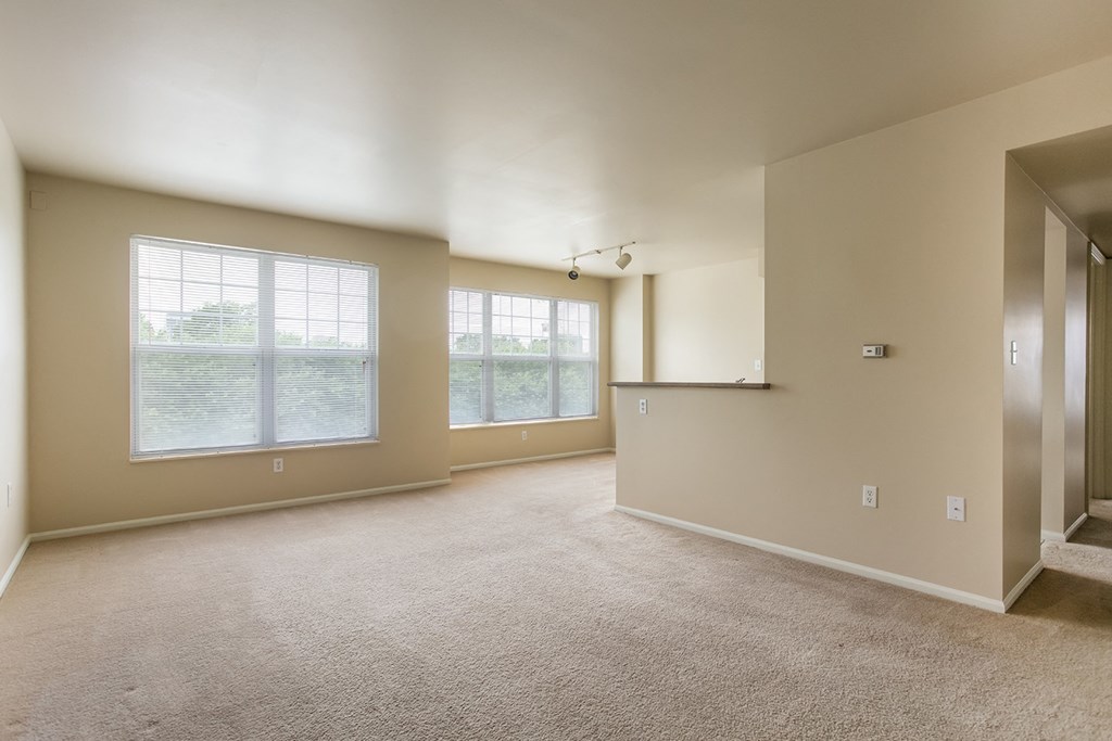 A large, empty room with carpeted flooring and two windows.