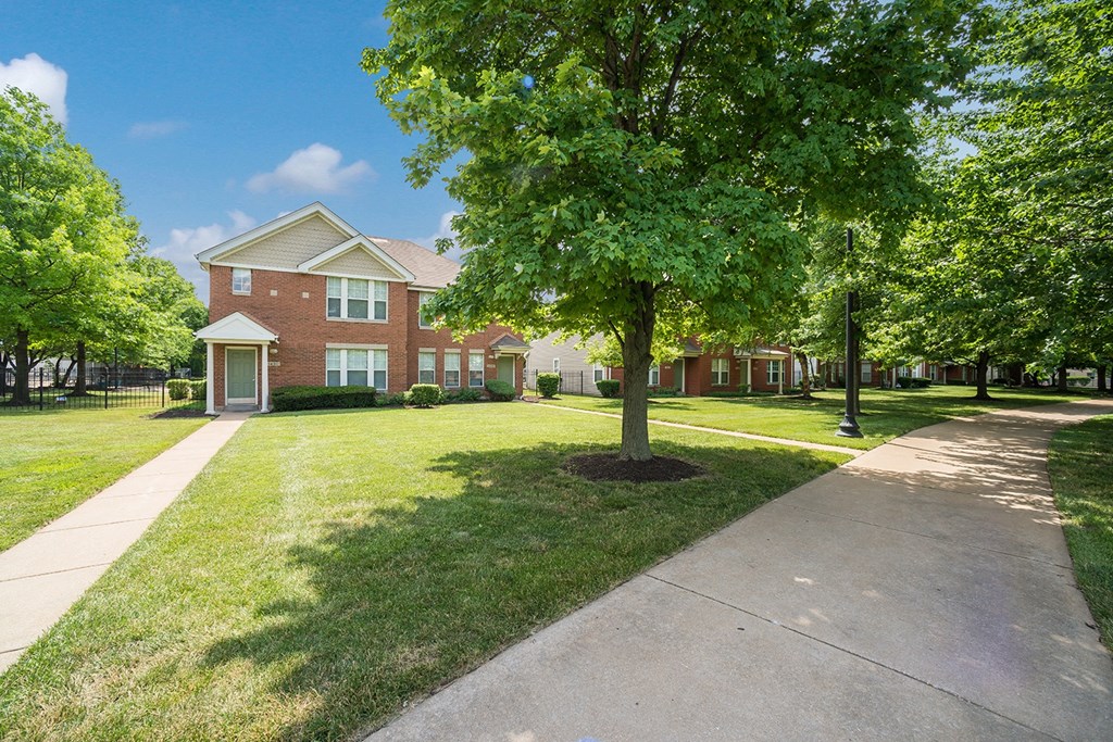a tree in front of a brick house with a sidewalk
