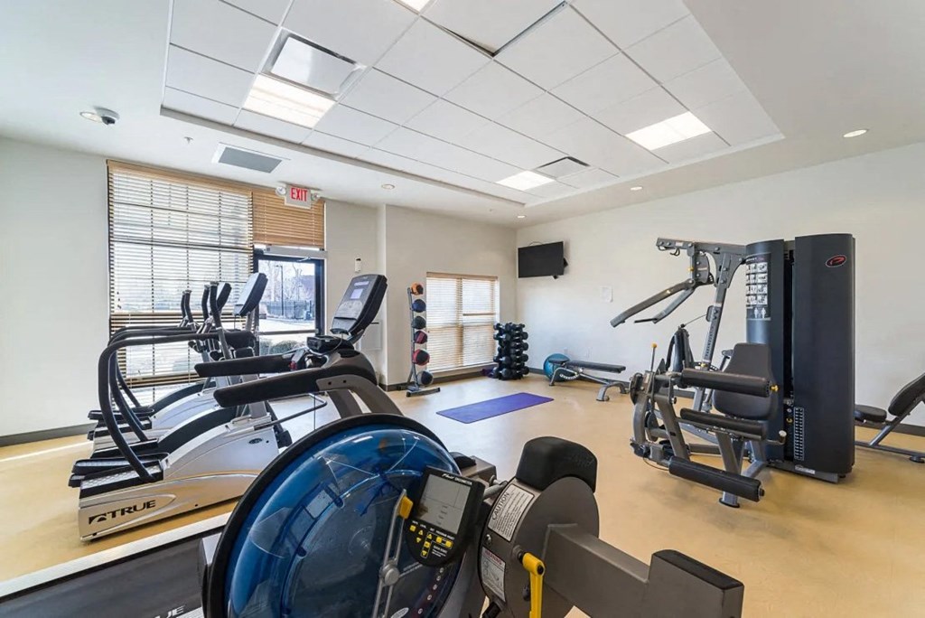 the gym is equipped with cardio equipment and weights