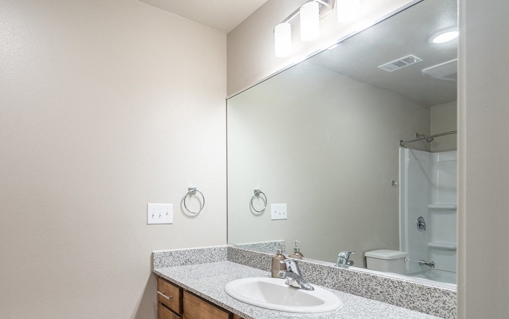 a bathroom with a sink and a mirror and a shower
