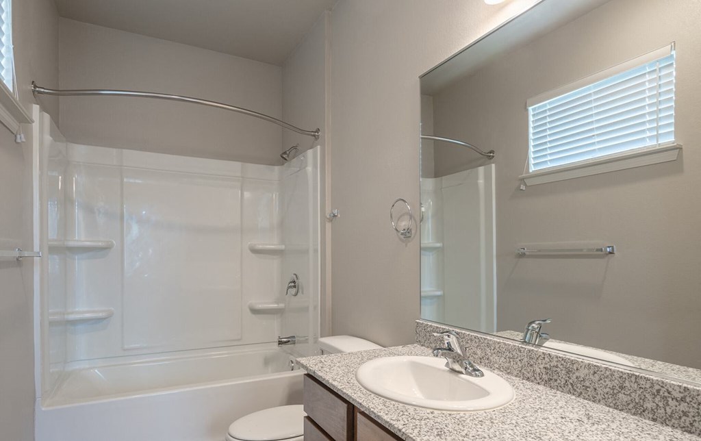 a bathroom with a sink and a shower and a mirror