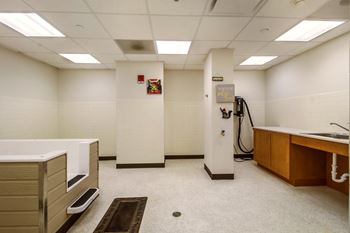Pet spa and grooming station at Strathmore apartments in Detroit, MI