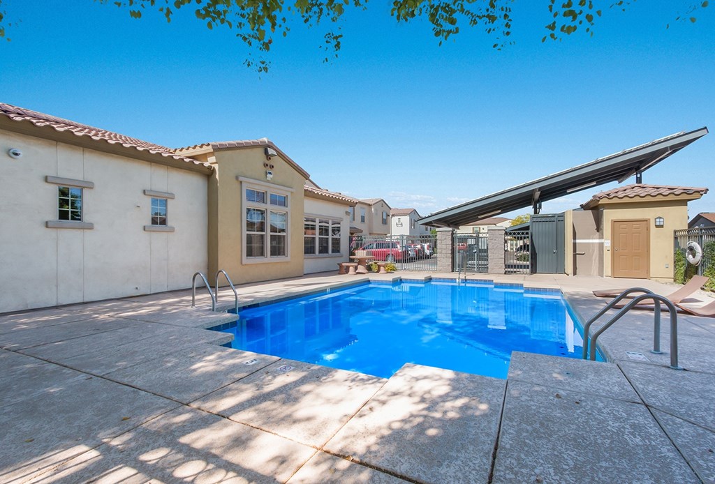 A swimming pool in a sunny backyard.