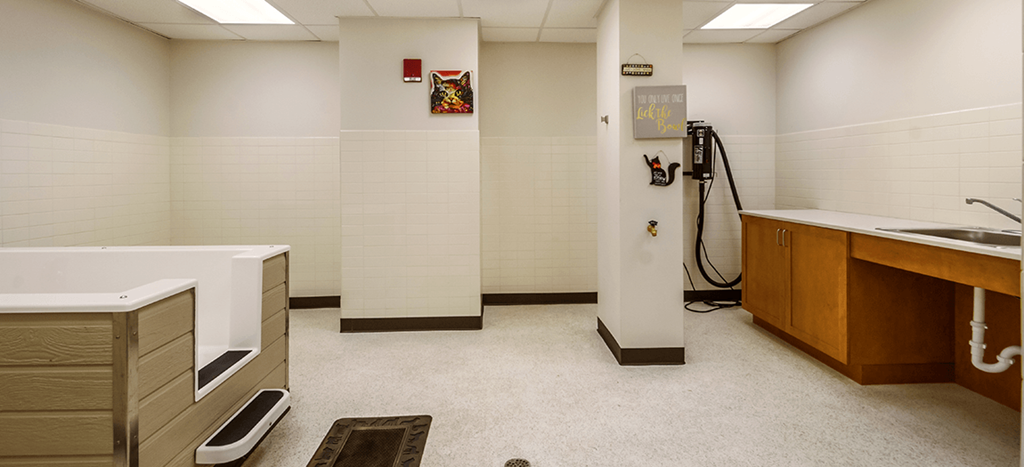 Strathmore apartments pet wash station: a room with a tub and a sink and a counter
