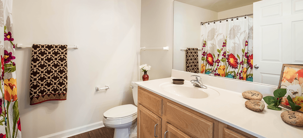 a bathroom with a sink and a toilet and a mirror at University Place Apartments
