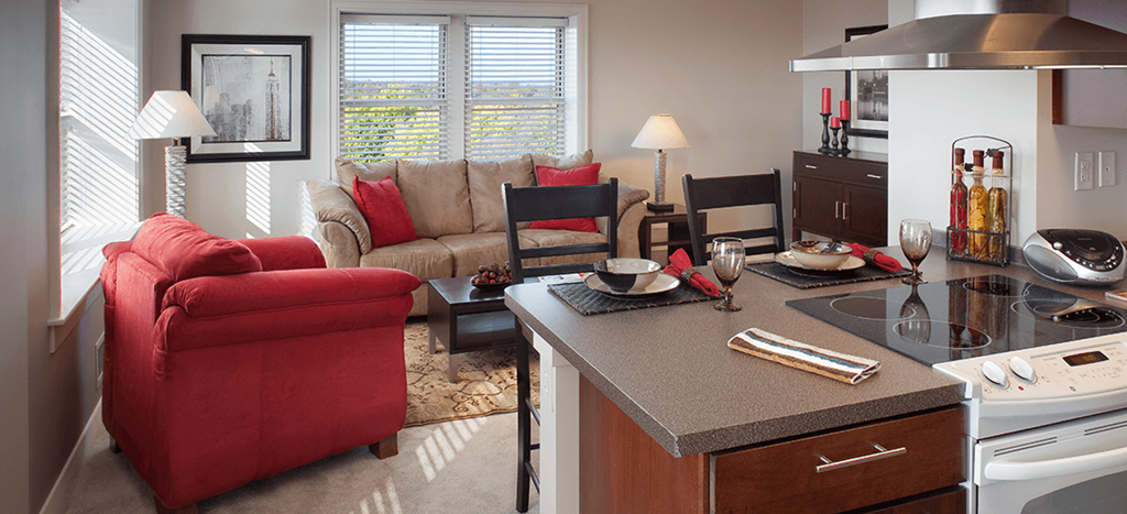 Kitchen & Living Room a living room with a kitchen and a couch at Valentine Apartments