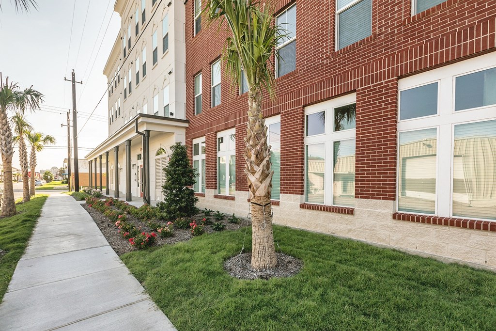 a sidewalk in front of a brick building with a palm tree