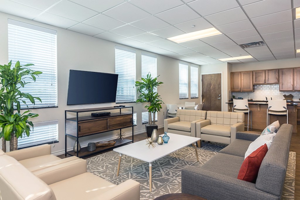 a living room with couches and chairs and a television