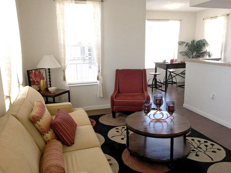interior apartment living room-East Meadows San Antonio TX