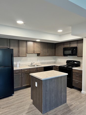 Apartment Kitchen Apartment Kitchen-Preservation Square - Photo Gallery 4